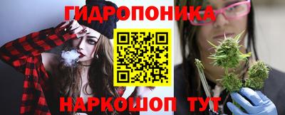 стафф Донецк
