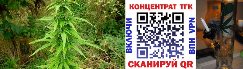 хочу   Губаха  Дистиллят ТГК гашишное масло 
