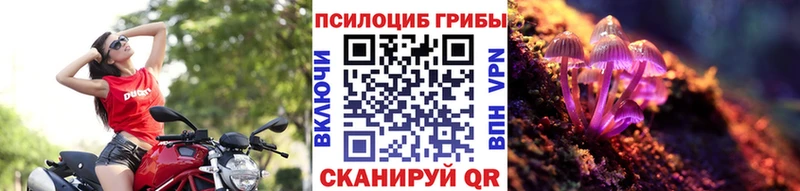 Галлюциногенные грибы мухоморы  Губаха 
