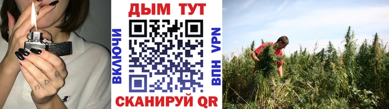 Марихуана план Губаха