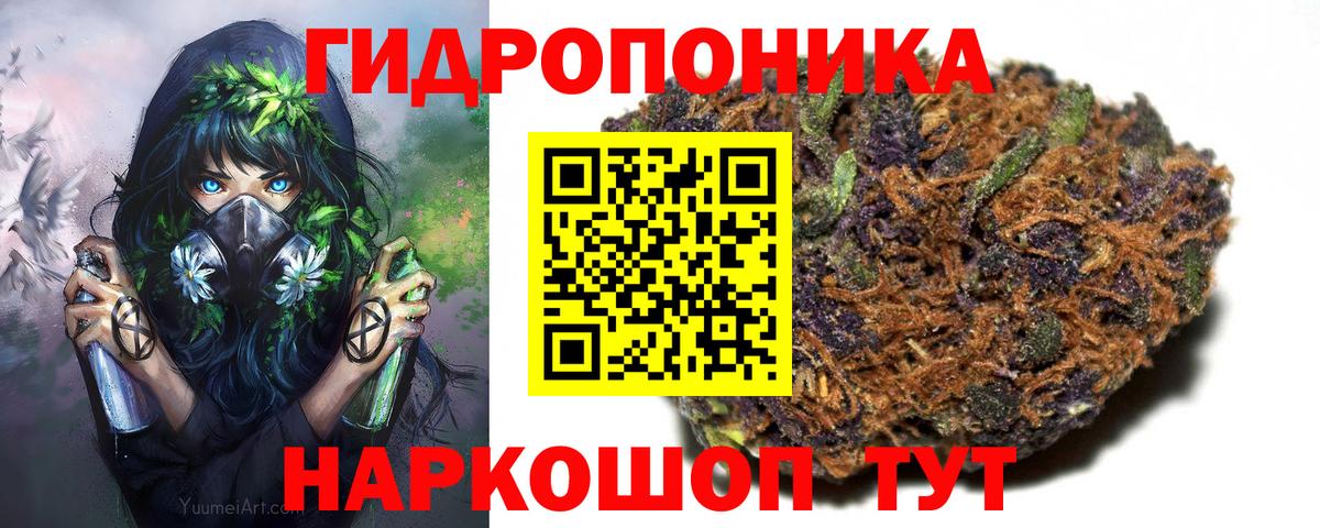 Губаха  Бошки Шишки гибрид  Вход с VPN  Бошки Шишки Amnesia  Бошки Шишки гибрид 